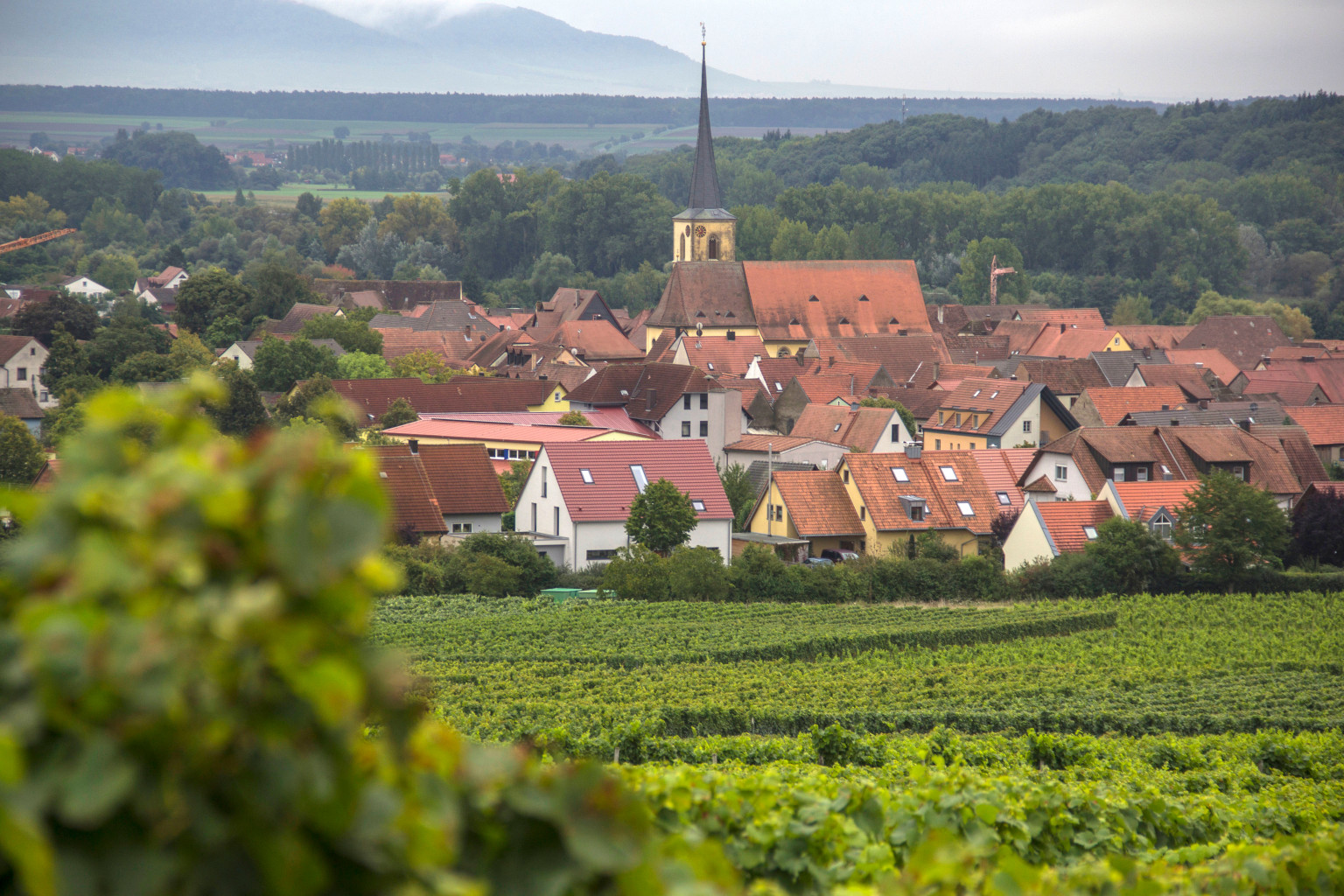 Traditionelle Weinfahrt nach Sommerach & Nordheim SPDStadtverband Hof